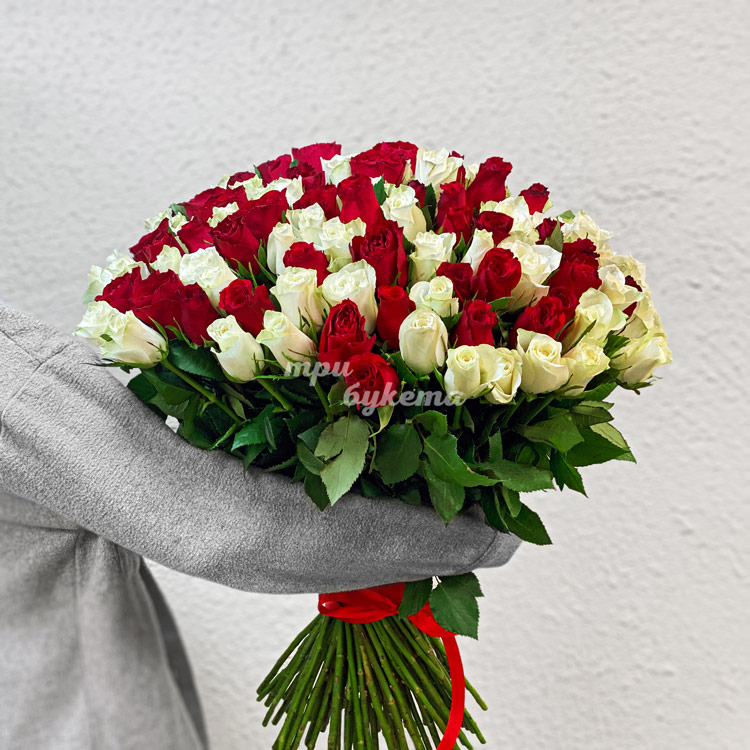 101 красная и белая роза 70 см (в руках флориста)