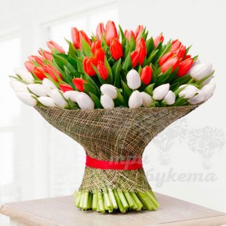 101 красный и белый тюльпан в сетке
