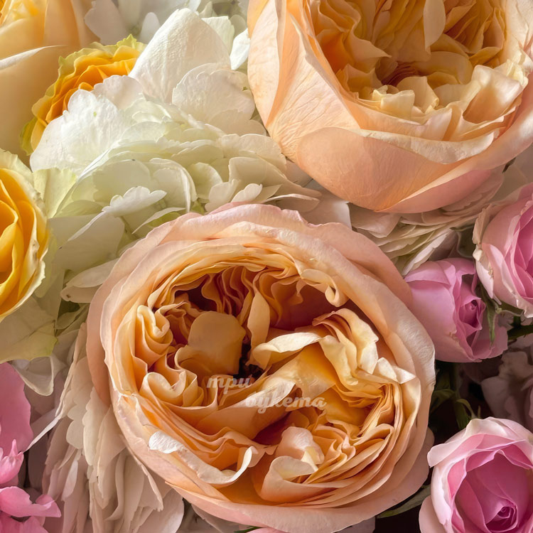 Букет ярких роз и диантусов с гортензией (крупный план роз)