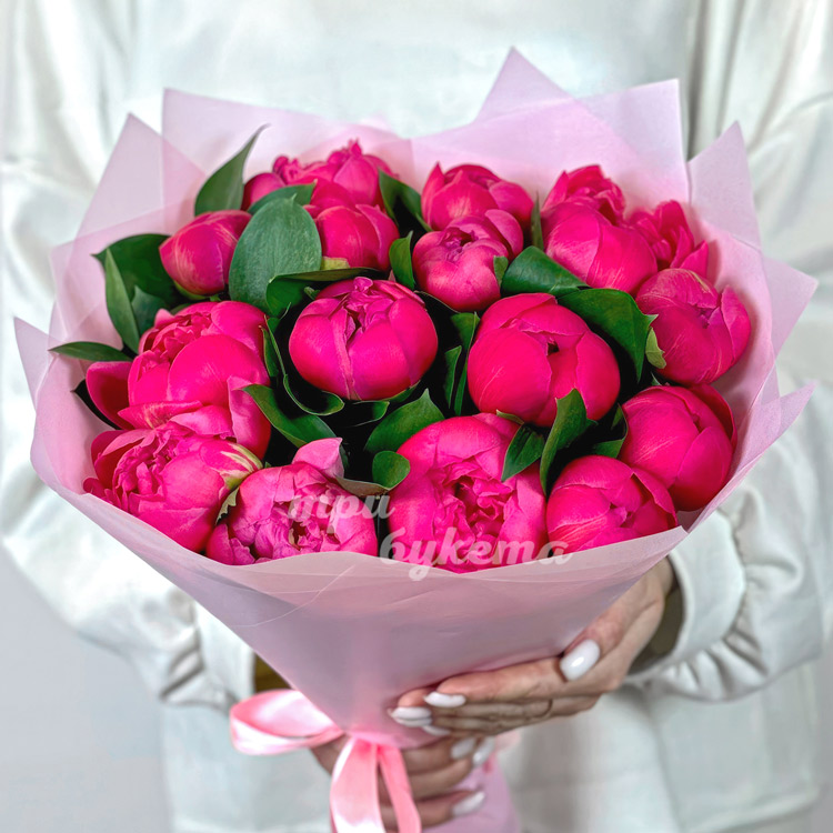 Букет из 15 пионов сорта Корал Шарм (крупный план)